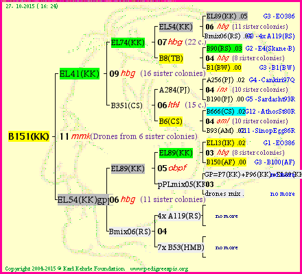 Pedigree of B151(KK) :
four generations presented<br />it's temporarily unavailable, sorry!