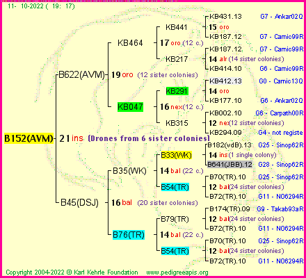 Pedigree of B152(AVM) :
four generations presented
it's temporarily unavailable, sorry!