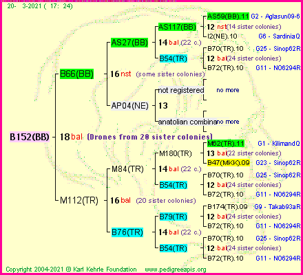 Pedigree of B152(BB) :
four generations presented
it's temporarily unavailable, sorry!