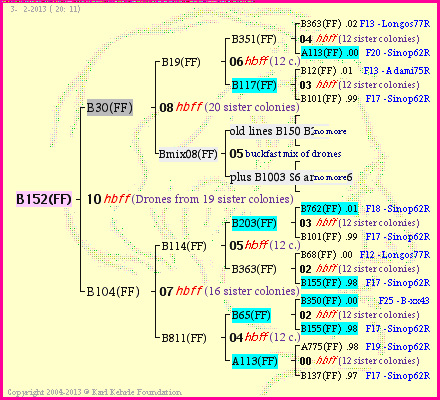 Pedigree of B152(FF) :
four generations presented