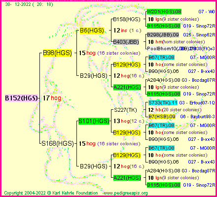 Pedigree of B152(HGS) :
four generations presented
it's temporarily unavailable, sorry!