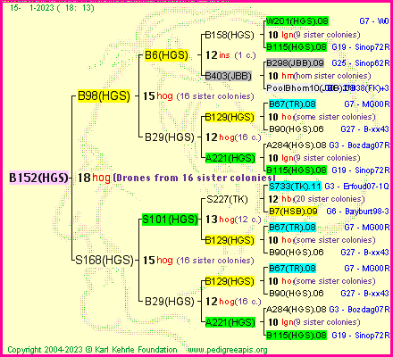 Pedigree of B152(HGS) :
four generations presented
it's temporarily unavailable, sorry!