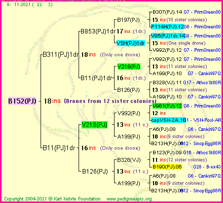 Pedigree of B152(PJ) :
four generations presented
it's temporarily unavailable, sorry!