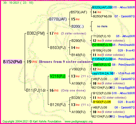 Pedigree of B152(PM) :
four generations presented
it's temporarily unavailable, sorry!