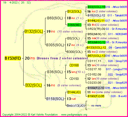 Pedigree of B153(FE) :
four generations presented
it's temporarily unavailable, sorry!