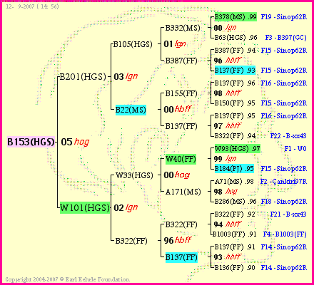 Pedigree of B153(HGS) :
four generations presented