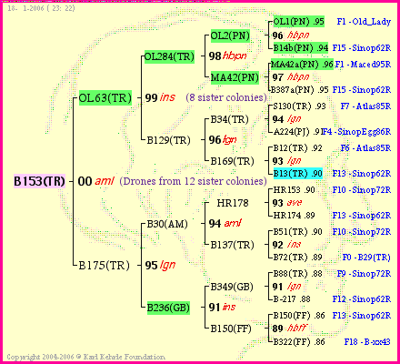 Pedigree of B153(TR) :
four generations presented<br />it's temporarily unavailable, sorry!