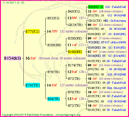 Pedigree of B154(KS) :
four generations presented<br />it's temporarily unavailable, sorry!