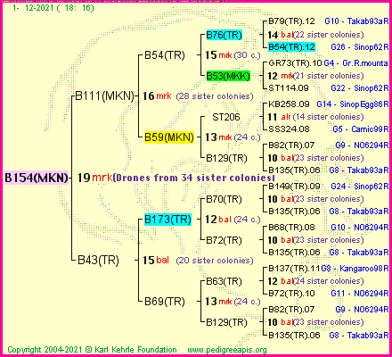 Pedigree of B154(MKN) :
four generations presented
it's temporarily unavailable, sorry!