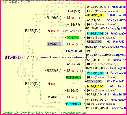 Pedigree of B154(PJ) :
four generations presented
it's temporarily unavailable, sorry!