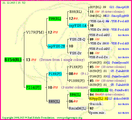 Pedigree of B154(RL) :
four generations presented