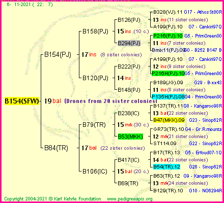 Pedigree of B154(SFW) :
four generations presented
it's temporarily unavailable, sorry!