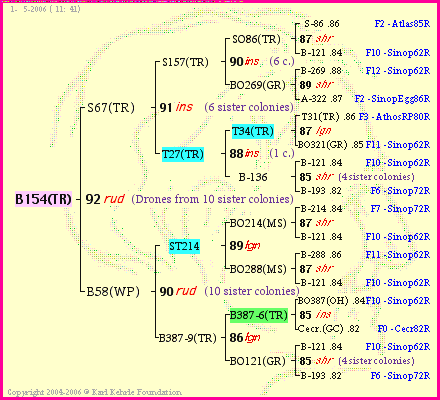 Pedigree of B154(TR) :
four generations presented<br />it's temporarily unavailable, sorry!