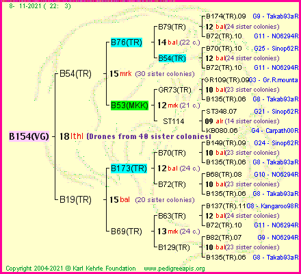 Pedigree of B154(VG) :
four generations presented
it's temporarily unavailable, sorry!