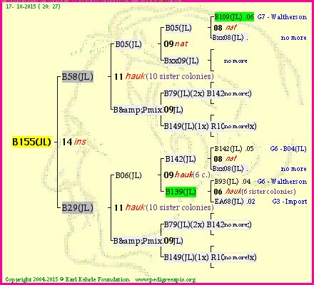 Pedigree of B155(JL) :
four generations presented