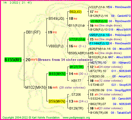 Pedigree of B155(RF) :
four generations presented
it's temporarily unavailable, sorry!