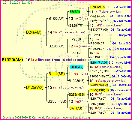 Pedigree of B1550(AM) :
four generations presented
it's temporarily unavailable, sorry!