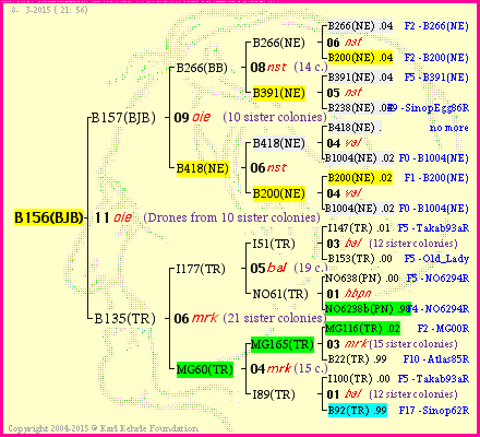 Pedigree of B156(BJB) :
four generations presented