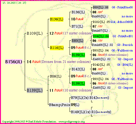 Pedigree of B156(JL) :
four generations presented