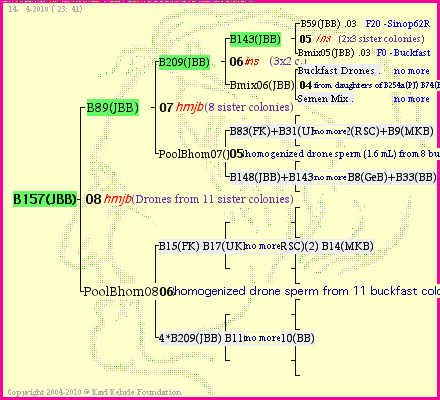 Pedigree of B157(JBB) :
four generations presented