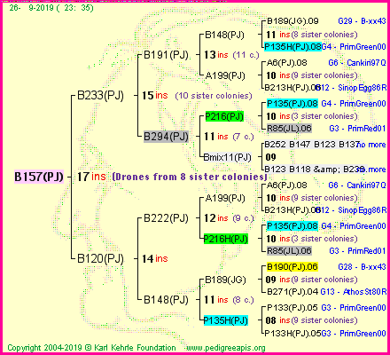 Pedigree of B157(PJ) :
four generations presented
it's temporarily unavailable, sorry!