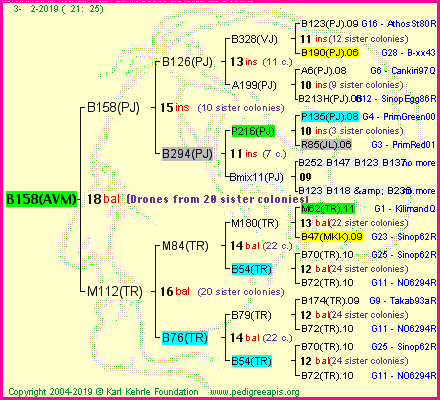 Pedigree of B158(AVM) :
four generations presented<br />it's temporarily unavailable, sorry!