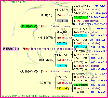 Pedigree of B158(DSJ) :
four generations presented
it's temporarily unavailable, sorry!