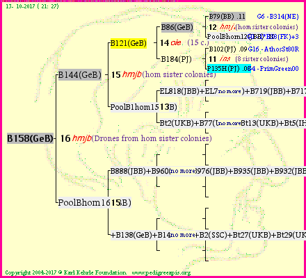 Pedigree of B158(GeB) :
four generations presented<br />it's temporarily unavailable, sorry!