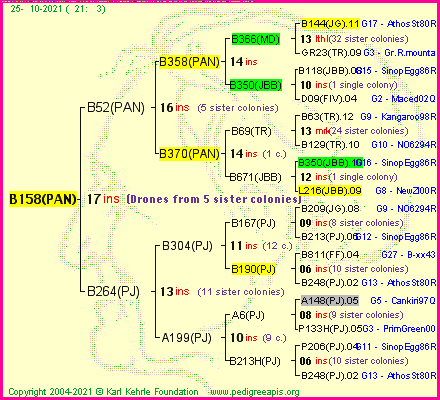 Pedigree of B158(PAN) :
four generations presented
it's temporarily unavailable, sorry!