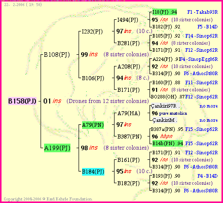 Pedigree of B158(PJ) :
four generations presented