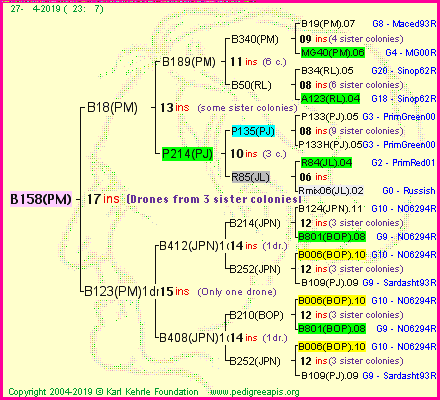 Pedigree of B158(PM) :
four generations presented
it's temporarily unavailable, sorry!