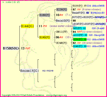 Pedigree of B158(SOL) :
four generations presented<br />it's temporarily unavailable, sorry!