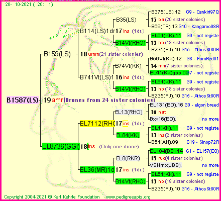 Pedigree of B1587(LS) :
four generations presented
it's temporarily unavailable, sorry!