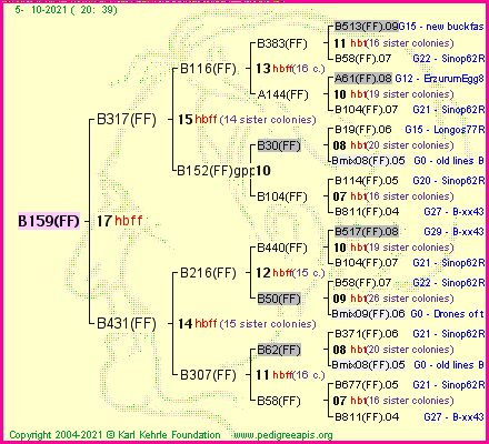 Pedigree of B159(FF) :
four generations presented
it's temporarily unavailable, sorry!