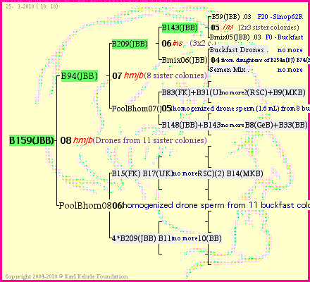 Pedigree of B159(JBB) :
four generations presented