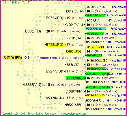 Pedigree of B159(JPD) :
four generations presented
it's temporarily unavailable, sorry!