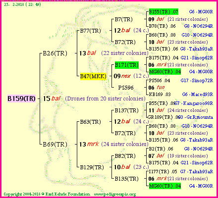 Pedigree of B159(TR) :
four generations presented