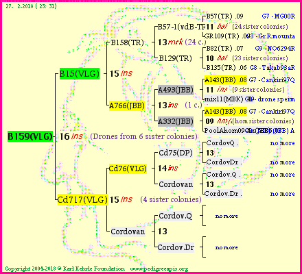 Pedigree of B159(VLG) :
four generations presented