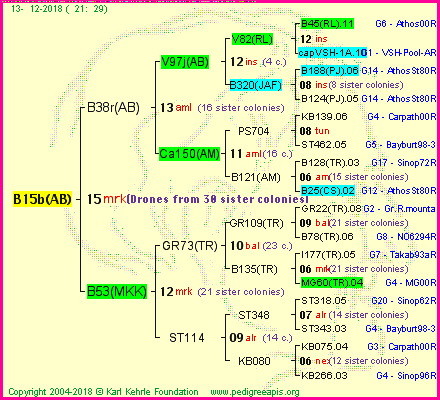 Pedigree of B15b(AB) :
four generations presented<br />it's temporarily unavailable, sorry!