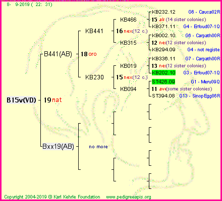 Pedigree of B15v(VD) :
four generations presented<br />it's temporarily unavailable, sorry!
