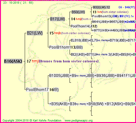 Pedigree of B16(ASK) :
four generations presented<br />it's temporarily unavailable, sorry!