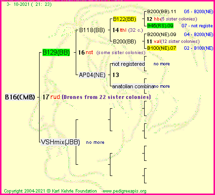 Pedigree of B16(CMB) :
four generations presented
it's temporarily unavailable, sorry!