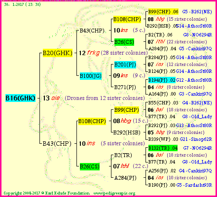 Pedigree of B16(GHK) :
four generations presented<br />it's temporarily unavailable, sorry!