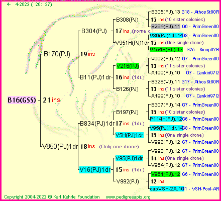 Pedigree of B16(GSS) :
four generations presented
it's temporarily unavailable, sorry!