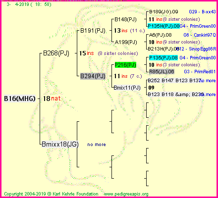 Pedigree of B16(MHG) :
four generations presented
it's temporarily unavailable, sorry!