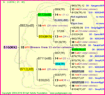 Pedigree of B16(NIK) :
four generations presented<br />it's temporarily unavailable, sorry!