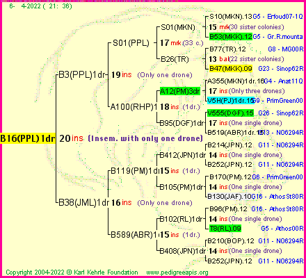 Pedigree of B16(PPL)1dr :
four generations presented
it's temporarily unavailable, sorry!