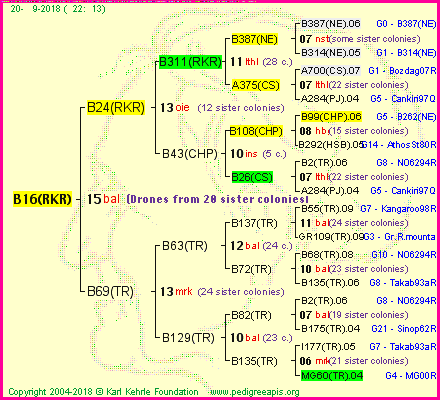 Pedigree of B16(RKR) :
four generations presented<br />it's temporarily unavailable, sorry!