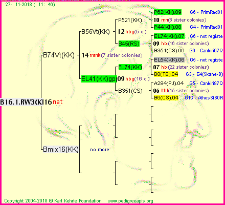 Pedigree of B16.1.RW3(KK) :
four generations presented<br />it's temporarily unavailable, sorry!