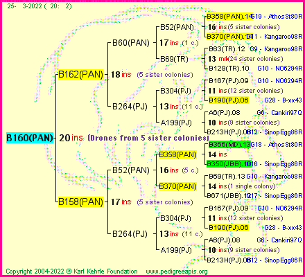 Pedigree of B160(PAN) :
four generations presented
it's temporarily unavailable, sorry!